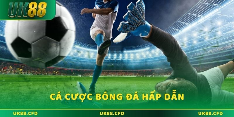 Cá cược bóng đá hấp dẫn