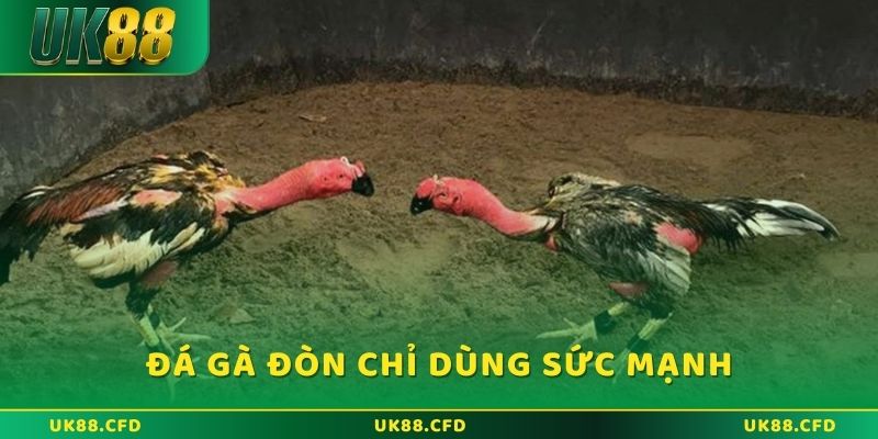 Đá gà đòn là các chiến kê chỉ dùng sức mạnh và chiến thuật để hạ gục đối thủ