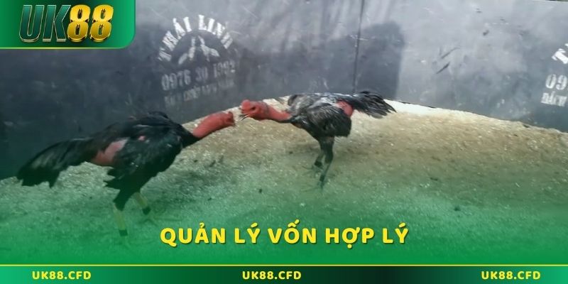 Quản lý vốn cược là một trong những chiến thuật quan trọng